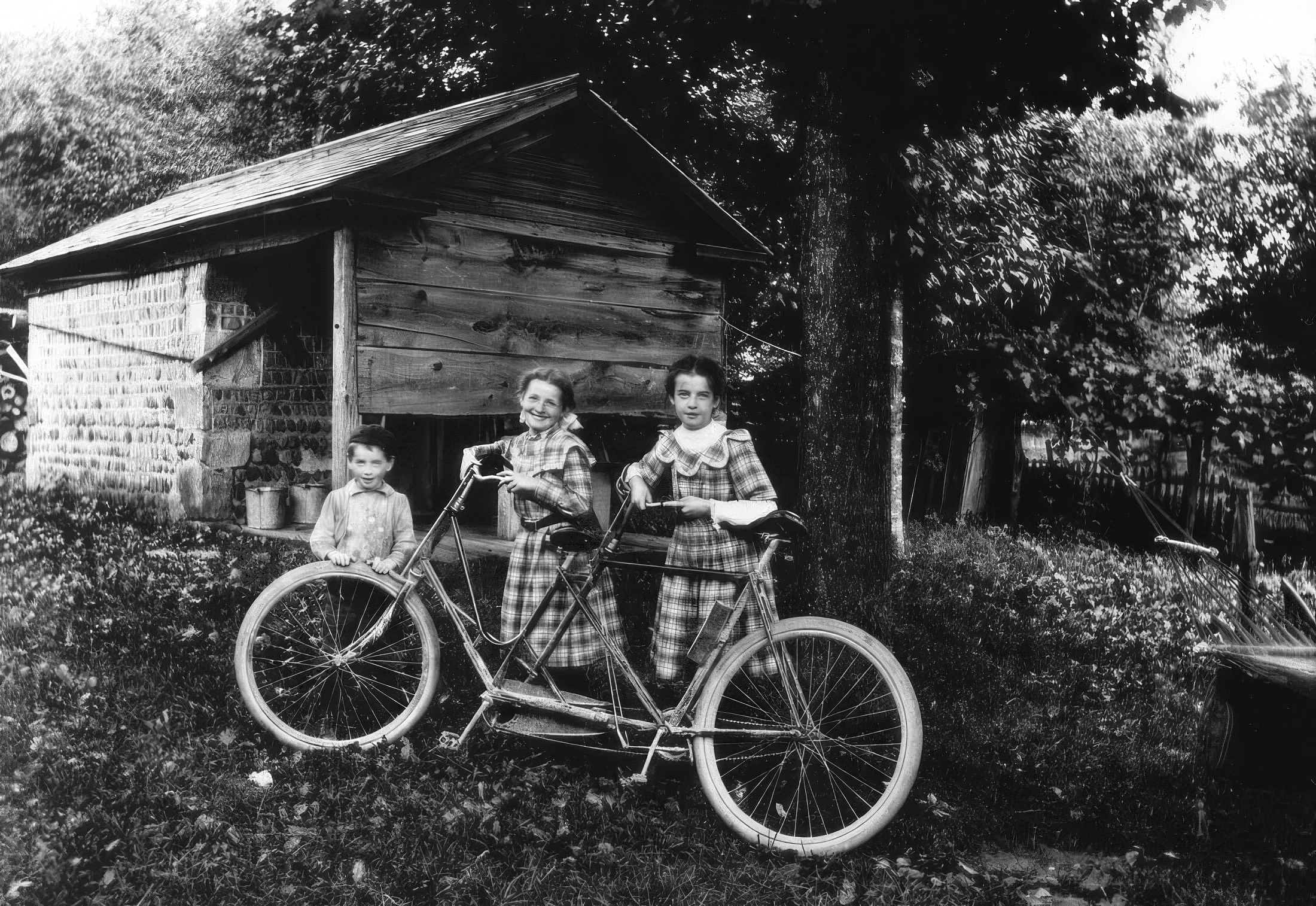 bicycle-built-for-two_orig